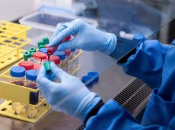 Se espera que de mayo a junio, las personas menores de 49 años sean vacunadas contra el coronavirus. AP / ARCHIVO