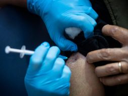 Se prevé que las dosis lleguen al país en la tercera semana de diciembre y de inmediato comenzará la aplicación, etapa que continuará en los primeros meses de 2021. AFP / V. Jones