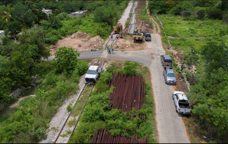 Según Fonatur, las obras del Tren Maya tienen uno de los planes de reforestación 