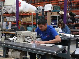 Jalisco se posiciona en el primer lugar en el PIB de las actividades primarias. EL INFORMADOR / ARCHIVO