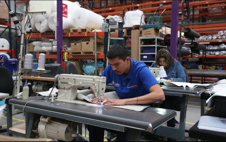 Jalisco se posiciona en el primer lugar en el PIB de las actividades primarias. EL INFORMADOR / ARCHIVO