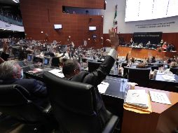 Las reformas fueron aprobadas por unanimidad, sin discusión ni reserva de artículos. EFE/Senado de México