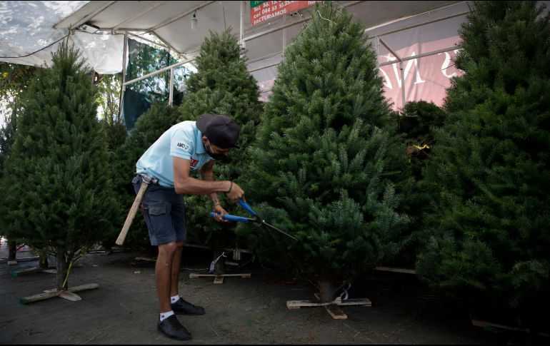 Para que se les permitiera instalarse, los comerciantes del tianguis navideño instalado en el Jardín de El Refugio debieron comprometerse a acatar las medidas sanitarias.  EL INFORMADOR/F. Atilano