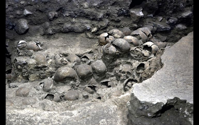 Arqueólogos localizaron el extremo este y la fachada externa del Huei Tzompantli, una torre circular de cráneos humanos dedicada al dios mexica Huitzilopochtli. AFP/INAH
