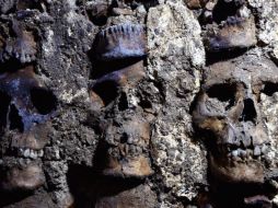 Arqueólogos localizaron el extremo este y la fachada externa del Huei Tzompantli, una torre circular de cráneos humanos dedicada al dios mexica Huitzilopochtli. EFE/INAH
