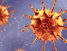 Desde su salto a los humanos hace aproximadamente un año, se han detectado unas dos mutaciones del Sars-CoV 2 cada mes.