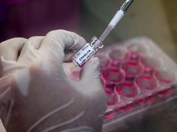 AMLO anunció que la próxima semana la Secretaría de Salud dará a conocer el plan de logística para la recepción, distribución y entrega de la vacuna. EFE / ARCHIVO