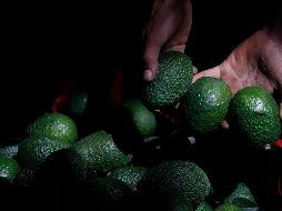 Se estiman pérdidas millonarias por el incendio en bodegas de aguacates. AP/ARCHIVO