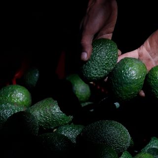 Grupos armados incendian bodegas de aguacates en Michoacán