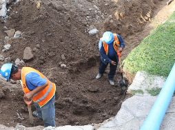 EL INFORMADOR / ARCHIVO