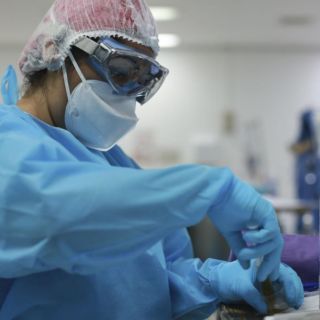 Coronavirus en Jalisco: Por virus, suben a 98 los municipios con riesgo alto