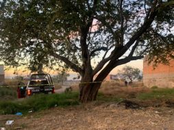Elementos localizaron el cadáver en un predio de la calle Horizonte, entre Árbol Grande y Salamanca. ESPECIAL