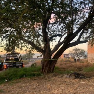 Seguridad en Jalisco: Encuentran a una joven muerta en la colonia San Pedrito
