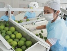 Sectores como el agropecuario y de alimentos y bebidas fueron favorecidos con las exportaciones. NTX/ARCHIVO