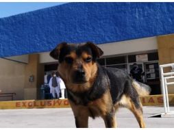 Algunos relatos cuentan que cada vez que sale alguien de la sala de emergencias, 