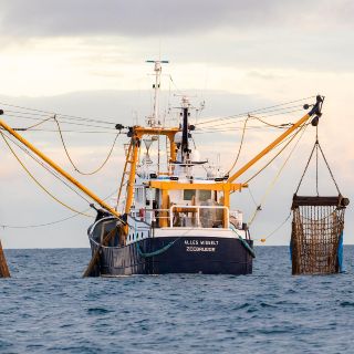 Pacto post-Brexit sigue en el limbo por acuerdo de pesca