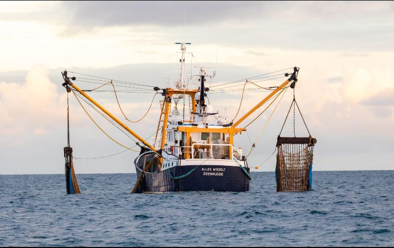 Si el Gobierno británico insiste en retener  la parte más fértil, podría verse castigada con duros aranceles a sus exportaciones. EFE/V. Flores