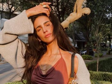 En más de una ocasión, la protagonista de "Rosario Tijeras" ha hecho memes de su tan comentado cuerpo. INSTAGRAM / @barbaraderegil