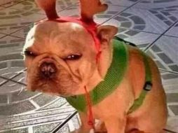 Algunos memes bromean con la situación sanitaria. ESPECIAL