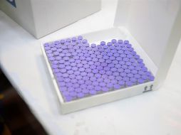 Manuel de la O señaló que esperan que pronto lleguen millones de vacunas y no sólo unas cuantas. EFE/P. Moncloa