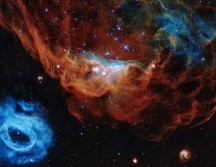 La foto muestra la nebulosa gigante NGC 2014 y su vecina NGC 2020, como las captó el Hubble. NASA/ESA