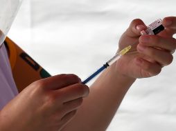 Como parte del filtro de seguridad que aplicará la Secretaría de Salud estatal, destaca la identificación precisa de cada uno de los médicos y su lugar de adscripción. AFP/ARCHIVO