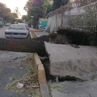 Clima en CDMX: Alertan por frío y fuertes vientos