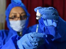 A México han llegado sólo 53 mil 625 dosis de la vacuna de Pfizer. EFE/J. Singh