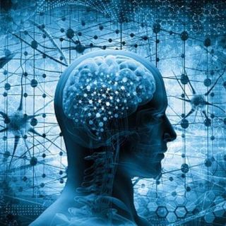 Covid-19: 6 formas de "reiniciar tu cerebro" tras un año difícil de covid-19