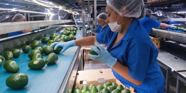 Economía mexicana crecerá 3.7% en 2021, prevé Banco Mundial