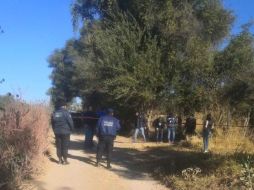 El hallazgo se da alrededor de las 9:50 horas, sobre la brecha conocida como San Andrés en el municipio de Gómez Farías. ESPECIAL