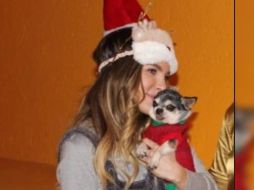 “Gizmo” acompañó a Belinda a lo largo de su carrera, viajaba con él y era su fiel compañero. INSTAGRAM / @belindapop