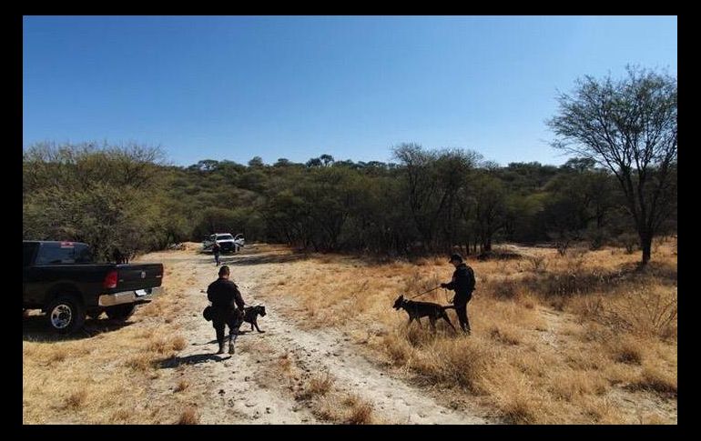 En Teocaltiche, las autoridades realizaron labores de campo con drones y georradares. ESPECIAL