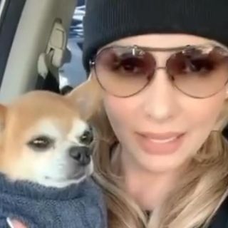 Suspenden la cuenta de Twitter de Paty Navidad