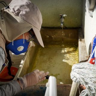 Dengue: Jalisco ocupa el primer lugar nacional en casos en 2020