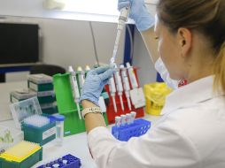 EFICIENTES. El expertó señaló que se debe estimar el número de personas a vacunar, descongelar sólo las dosis necesarias, enviarlas a los puntos y aplicarlas todas porque será muy difícil guardar sobrantes.  EL INFORMADOR/ARCHIVO