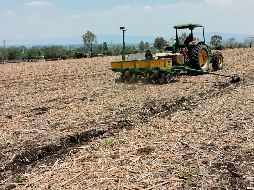 ESTUDIO. El desarrollo de profesionales de la agrobiotecnología es clave para aprovechar de mejor manera los recursos naturales.