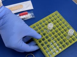 Aún falta que se confirme si se trata de la cepa de Reino Unido. AFP/ARCHIVO