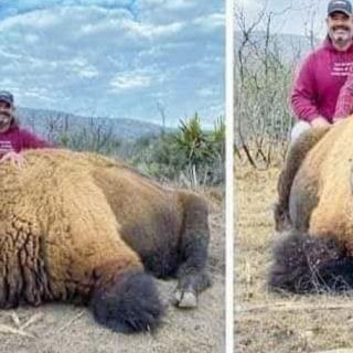 Viral: Indigna en redes supuesta caza de bisonte en Coahuila