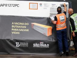 El ensayo no registró ninguna reacción alérgica o efecto adverso grave relacionado con la vacuna. EFE/S. Moreira