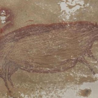 Encuentran la pintura rupestre de un animal más antigua del mundo