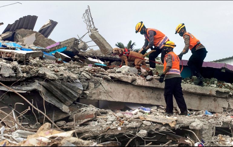 Decenas de cadáveres han sido recuperados hasta ahora de los escombros de edificios derruidos en Mamuju. AP/Y. Wahil