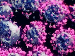 Según los investigadores 