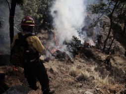 Prevén temporada crítica de incendios en Jalisco por fenómeno "La Niña"
