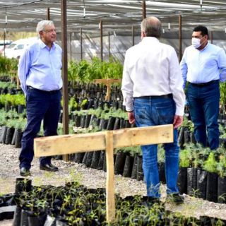 Sembrando Vida busca crear 15 mil nuevos empleos en 2021