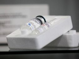 Se ha concluido que la ''plitidepsina'' es ''con diferencia'' el compuesto más potente descubierto hasta ahora y han planteado que debería probarse en ensayos clínicos ampliados para el tratamiento del COVID-19. EFE / D. Fernández