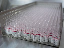 Los laboratorios están vendiendo a los Gobiernos a precios especiales por el volumen. EFE/A. Rudakov