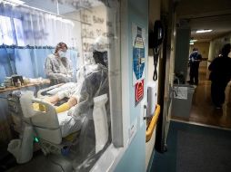 Llgunos estudios demuestran que las variantes E484K y la K417N tienen la capacidad de cambiar su proteína de superficie, lo que las hace más resistentes. EFE/ARCHIVO