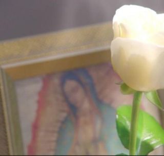 La Rosa De Guadalupe Cumple 13 Anos El Informador #larosa de lunes a viernes, 7:30 p.m mx #conlasestrellas 🌹. la rosa de guadalupe cumple 13 anos