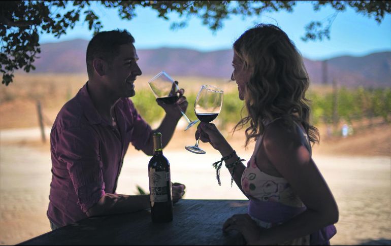 ENTRE VIÑEDOS. Una propuesta que te permite visitar tanto los sembradíos como las bodegas de prestigiadas marcas. ¡Se antoja! CORTESÍA • SEST